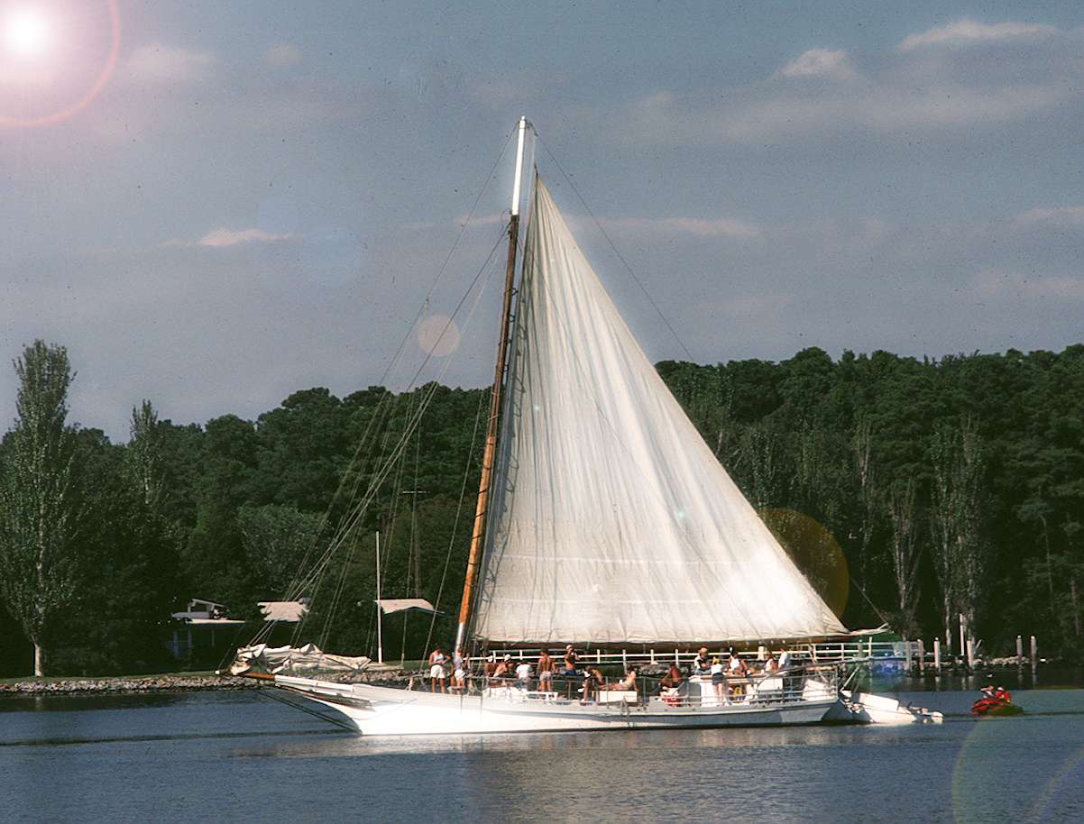 white sailboat chesapeake bay